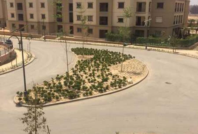 8342846 - الصورة الرئيسية للعقار