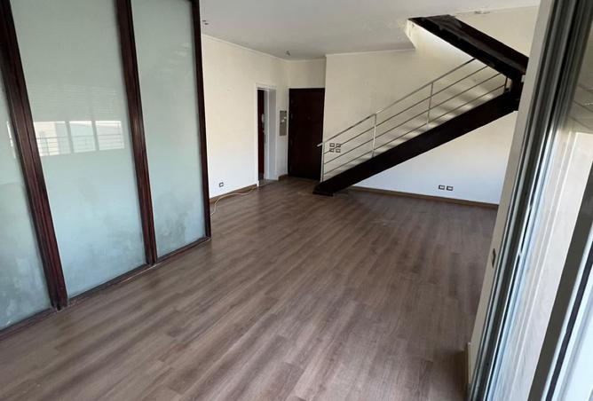 8251681 - Property Image 2