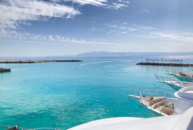 8233340 - Property Image 3