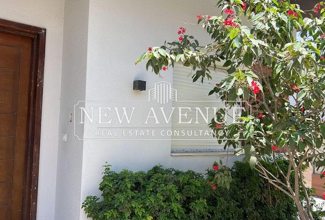 8409391 - Property Image 3