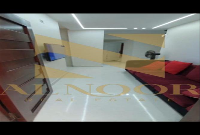 8060917 - Property Image 3