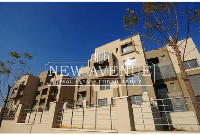 8137511 - Property Main Image