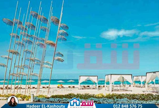 7974254 - صورة العقار 2