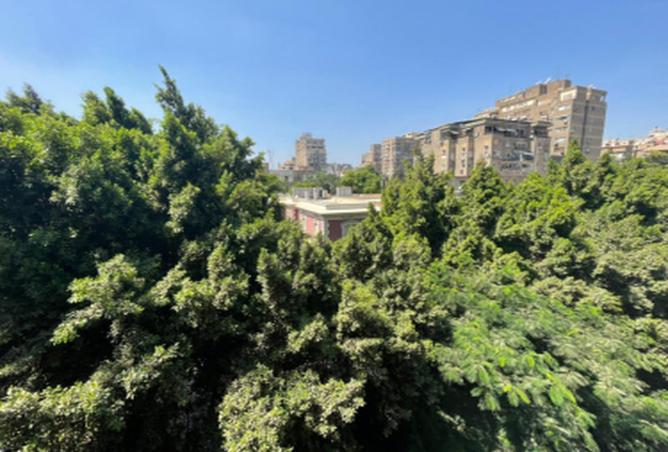 8027731 - صورة العقار 2
