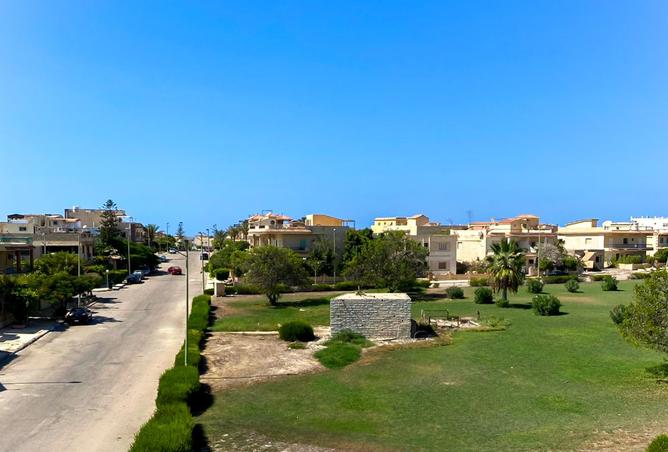 8423308 - صورة العقار 2