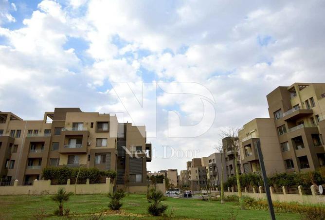 7955361 - صورة العقار 3