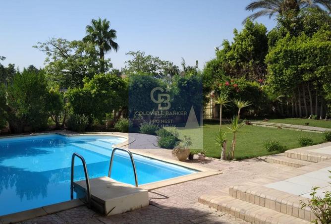 7898517 - الصورة الرئيسية للعقار