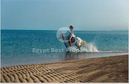 Chalet - 3 Bedrooms - 4 Bathrooms for sale in Ras Soma - Safaga - Hurghada - Red Sea