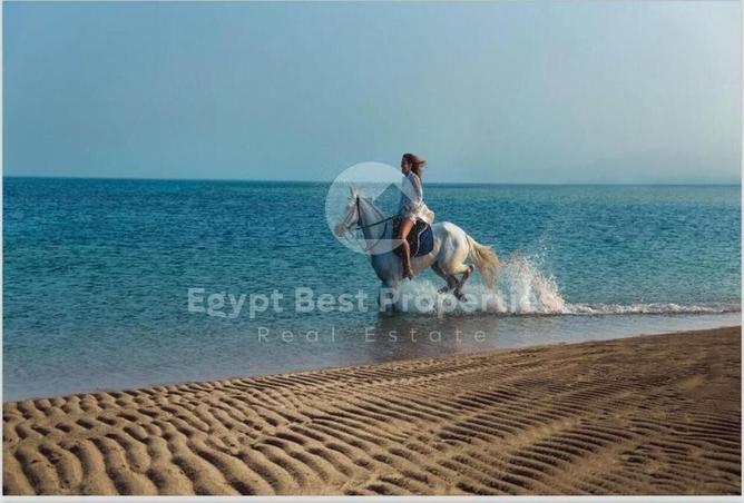 7983721 - Property Image 3