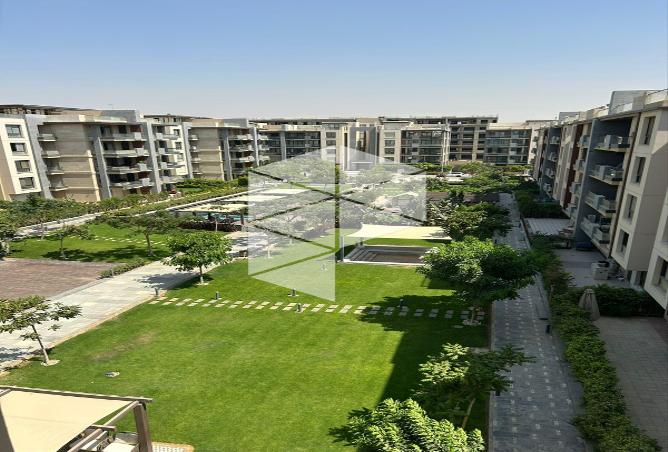 8040445 - صورة العقار 2