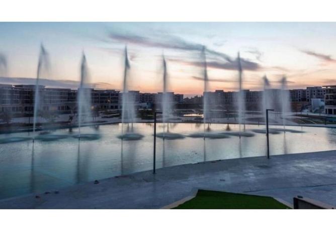 8541909 - Property Image 3