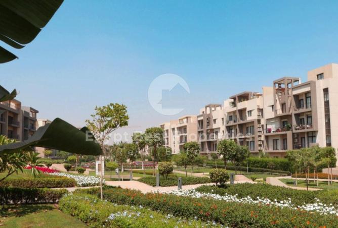 8275484 - Property Image 2