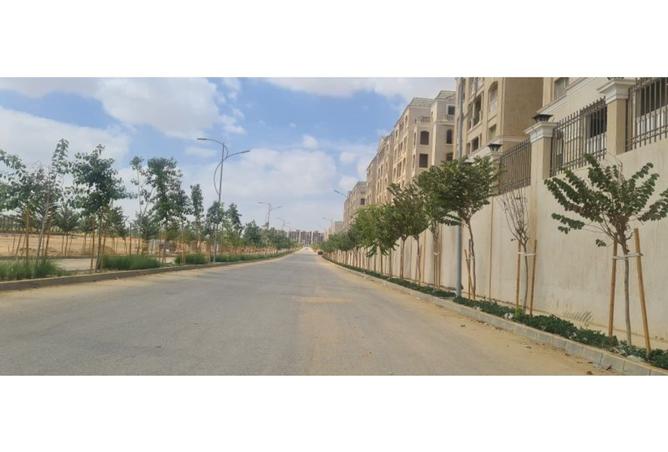 8307231 - Property Image 3