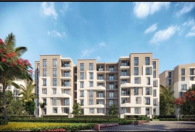 8447292 - Property Image 3