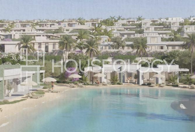 7945565 - صورة العقار 3