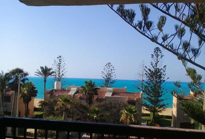 8305430 - الصورة الرئيسية للعقار