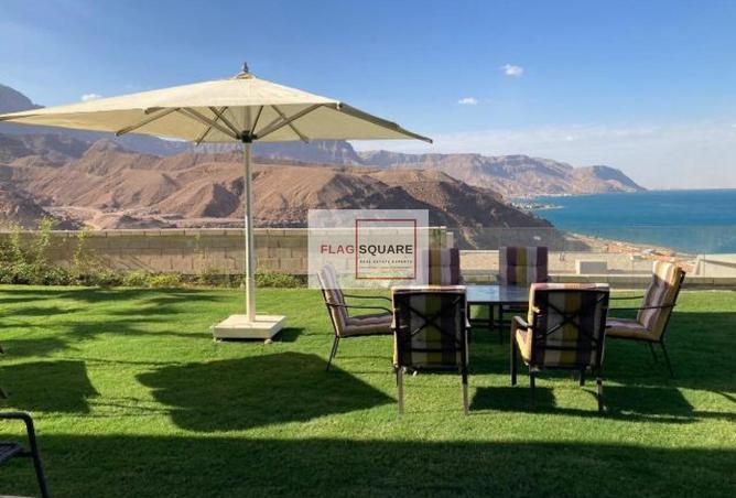 8246136 - Property Image 3