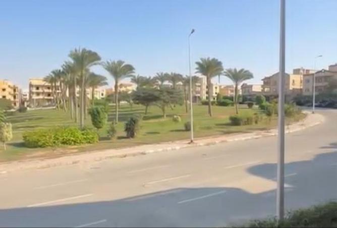 8167478 - Property Image 3