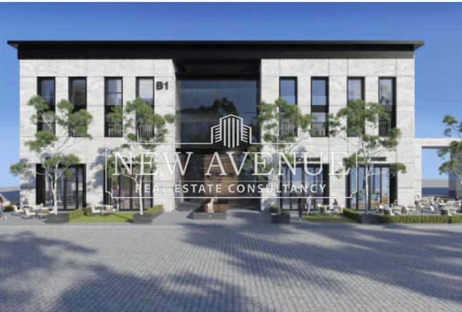 8338973 - Property Image 3