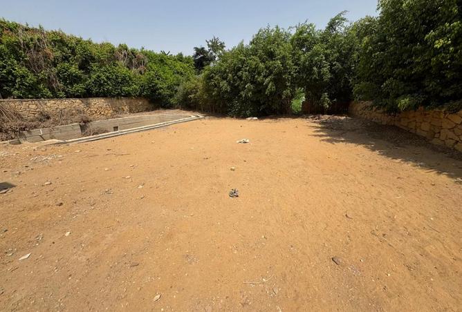 8524269 - صورة العقار 2