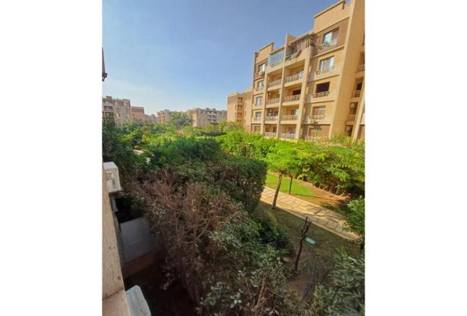 7995097 - صورة العقار 2