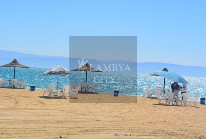 8331864 - Property Image 3