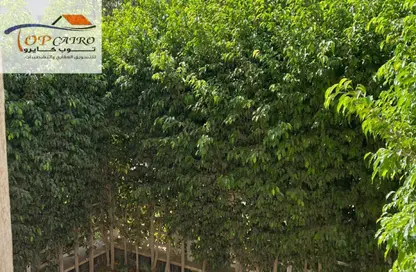 Apartment - 3 Bedrooms - 2 Bathrooms for sale in Madinaty - Cairo