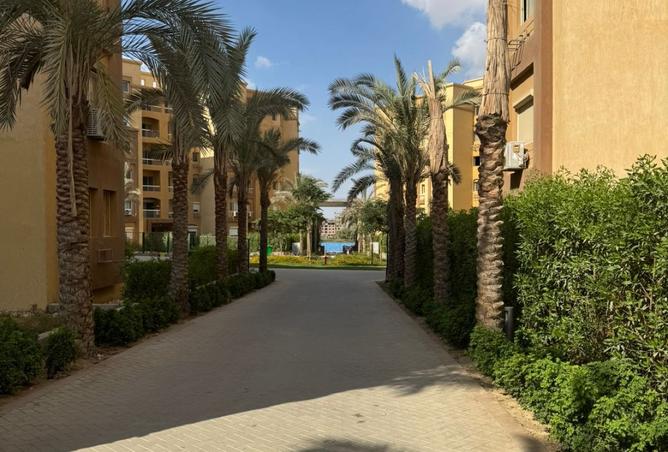 8081084 - Property Image 2