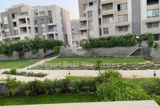 8164751 - Property Image 3