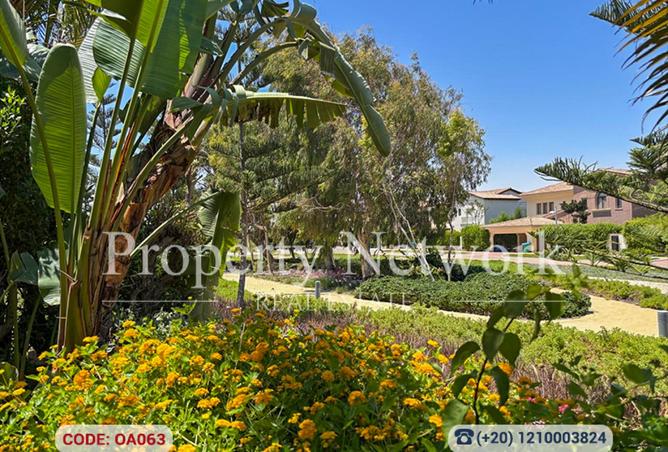 8002891 - Property Image 3