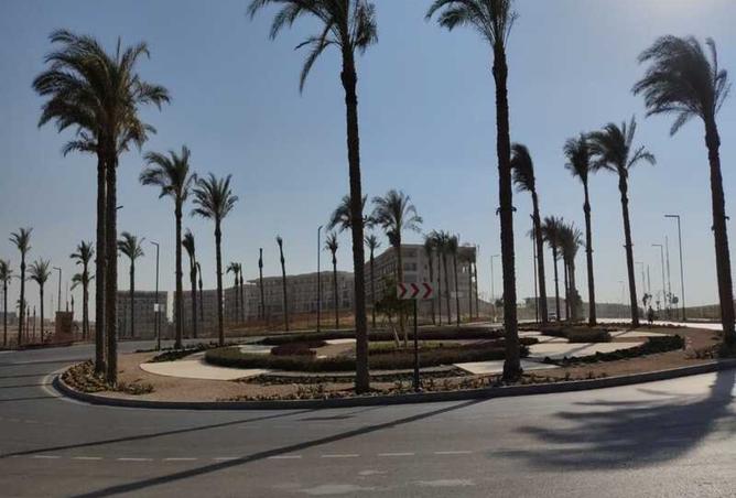 7905320 - الصورة الرئيسية للعقار