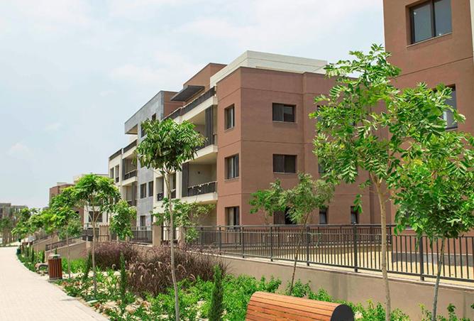 8151454 - صورة العقار 3