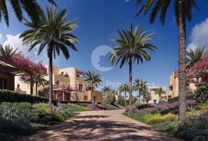 8391629 - Property Image 3