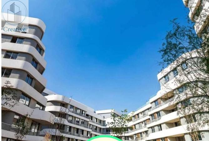 8399881 - Property Image 2