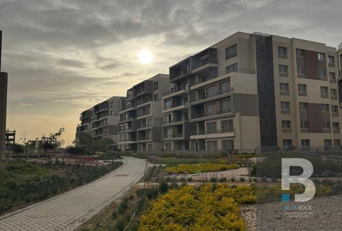 8186165 - Property Image 2