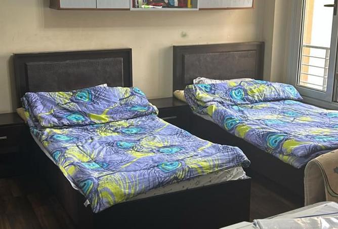 8288055 - صورة العقار 3