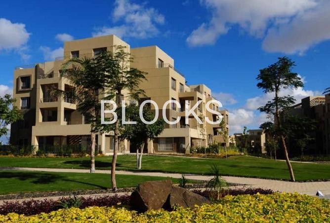 8181149 - Property Image 3