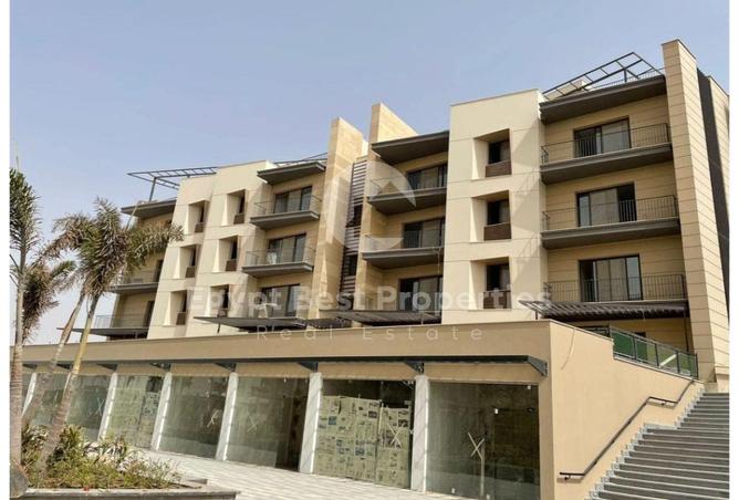 8133548 - Property Image 3
