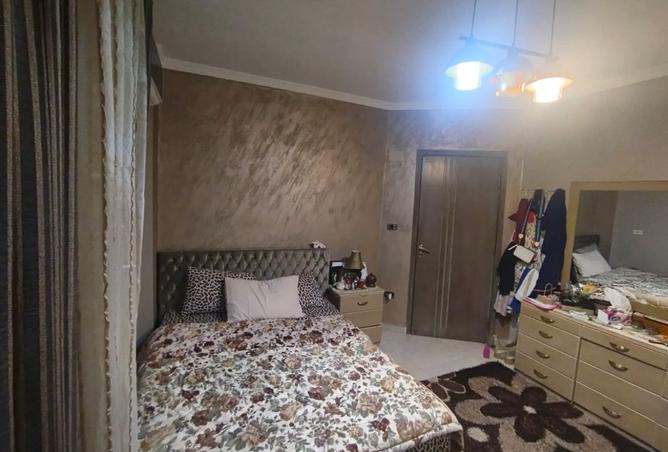 8431942 - Property Image 3