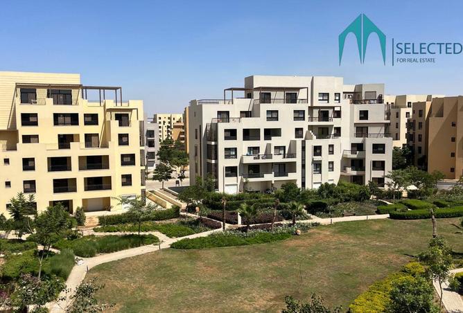 8256335 - Property Image 3