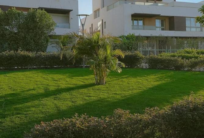 7927861 - Property Image 3