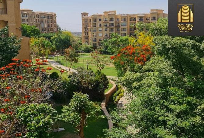 7954137 - الصورة الرئيسية للعقار