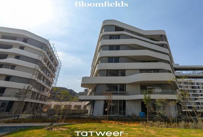 8115235 - Property Image 3