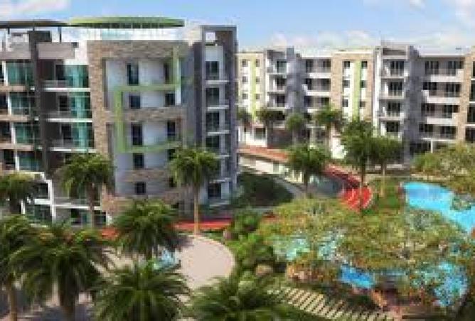 8535979 - Property Image 3