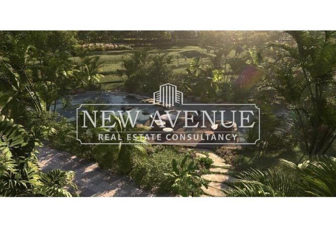 8245120 - Property Image 3