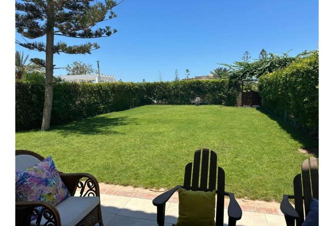 8369576 - صورة العقار 2