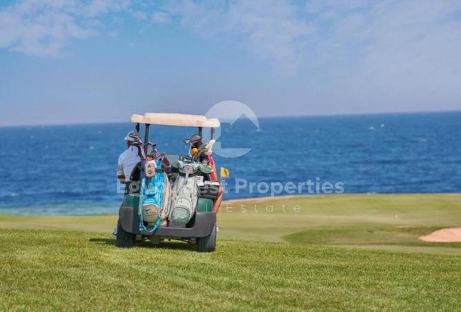 8465494 - Property Image 3