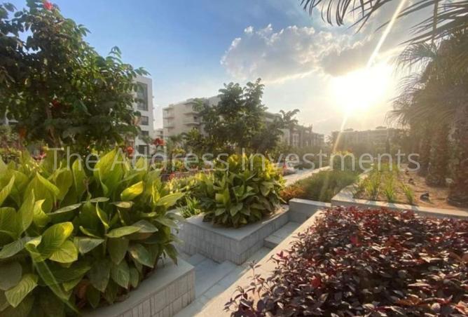 7907509 - صورة العقار 3