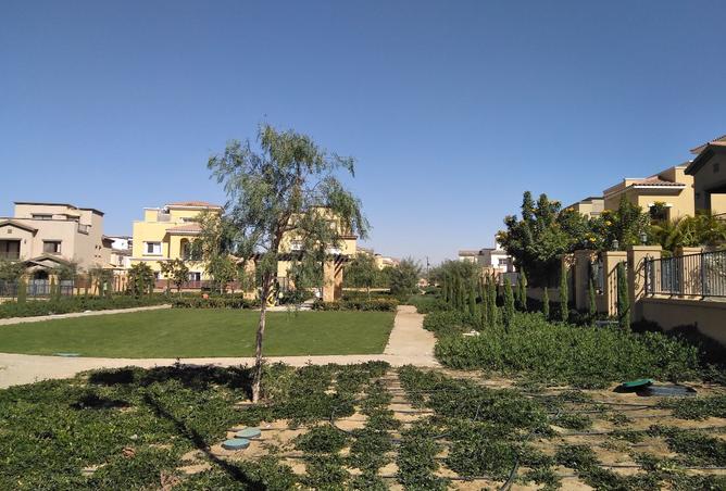 8068566 - صورة العقار 3