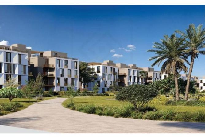 8408813 - Property Image 3